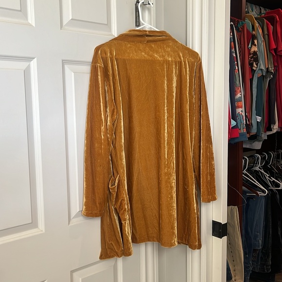 Gold velvet jacket - Picture 2 of 2
